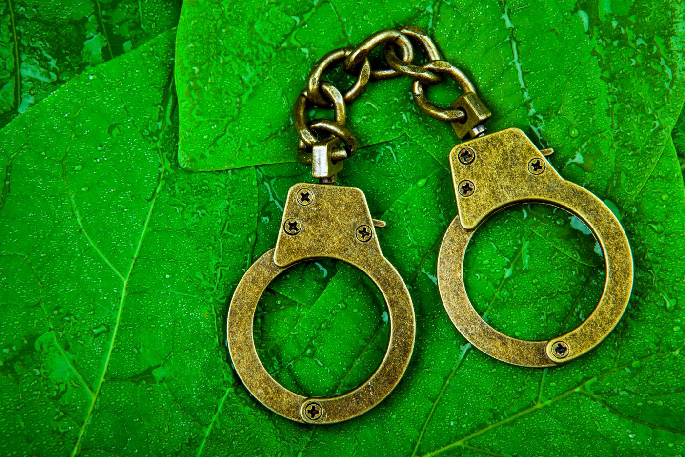handcuffs on green leaves